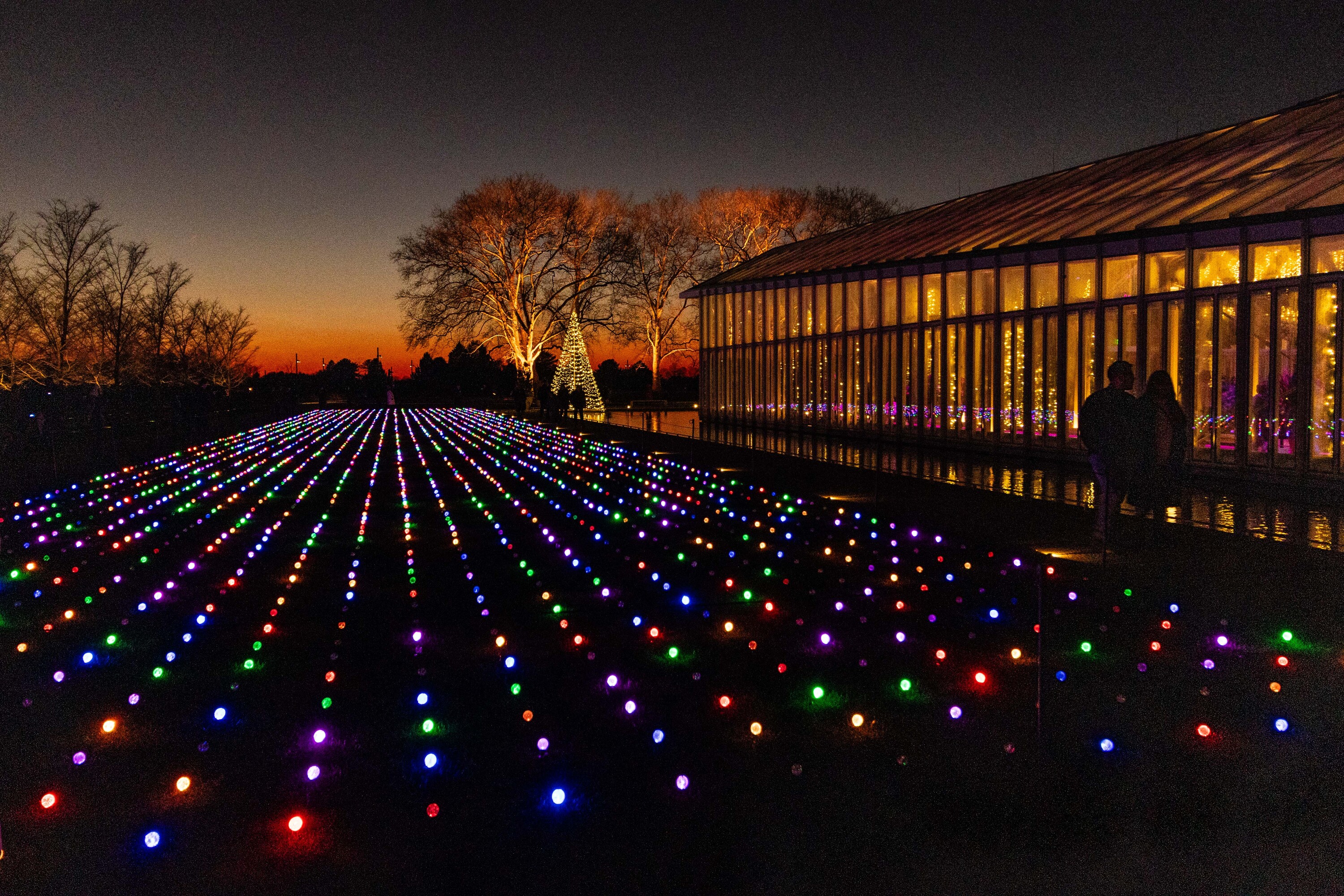 Longwood Gardens archive: 834832 west%20conservatory%20south%20lawn.jpg Erdmann %20Duane%20 Longwood%20Volunteer%20Photographer