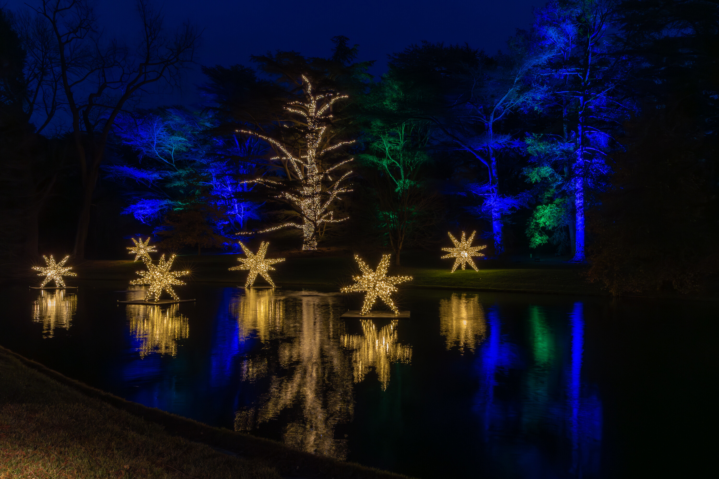 Longwood Gardens archive: 832498 Christmas%20Install 20251118 1032.jpg DeGuiseppi %20Carol%20 Longwood%20Volunteer%20Photographer