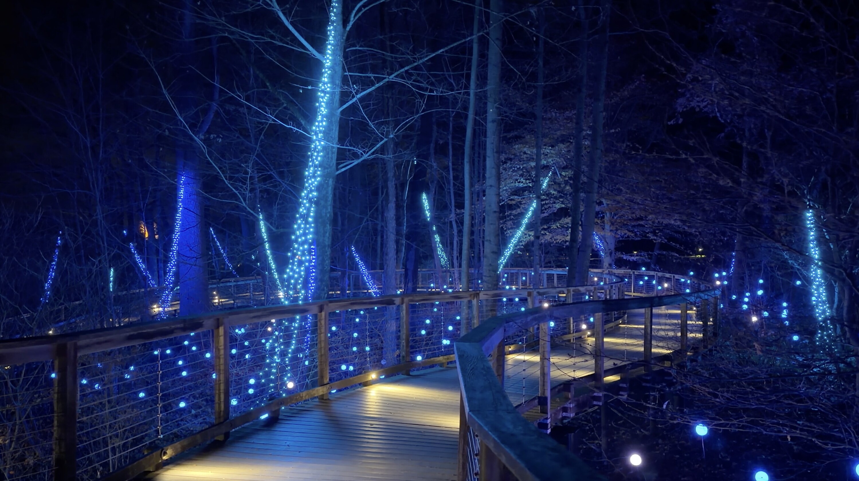 Longwood Gardens archive: 836330 Meadow%20Boardwalk%20Lights Gross %20Carol