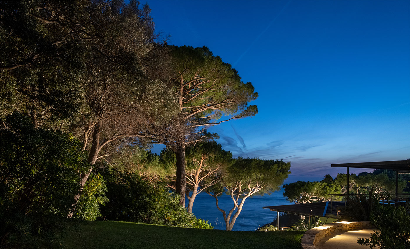 At La Villa Madie in Cassis, branches hold the last blue of the evening.
