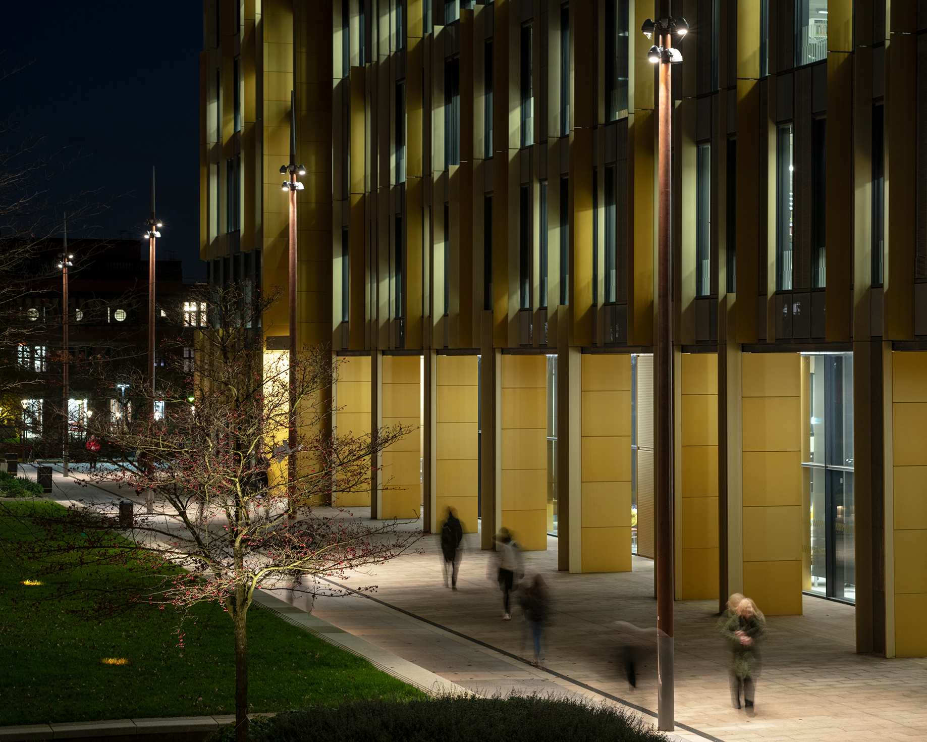 Birmingham’s Green Heart makes the edge of a building part of the evening landscape.