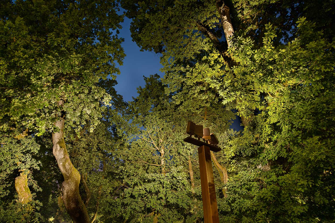Carballeira de Moraña gives the forest a quiet after-dark presence.